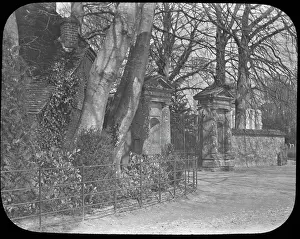 Tree Lined: Nunnery Gateway