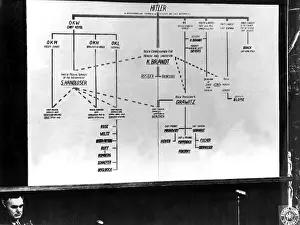 Graph: Nuremberg Doctors Trial