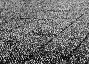 Stormtroops: Nuremberg Rally