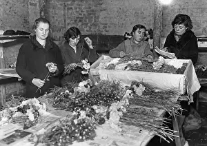 Carnations: Nursery near Berlin, 1929