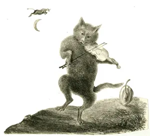 Spoon: Nursery rhyme, Hey Diddle Diddle