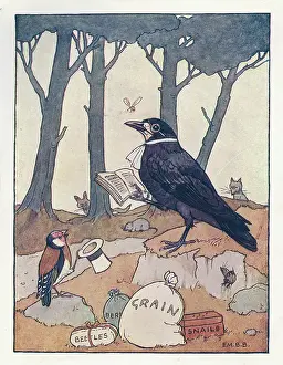 Rook: Nursery Rhymes -- Robin Redbreast