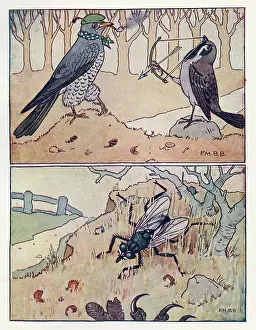 Accidental: Nursery Rhymes -- Robin Redbreast