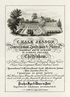 Florist: NURSERYMAN'S TRADE CARD