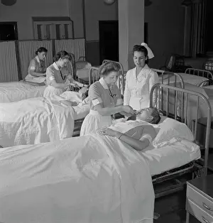 Henle: Nurses - Students - Medical - Education