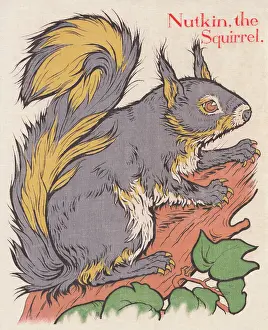 Nutkin the Squirrel
