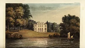 Gully: Nutwell Court, Exeter