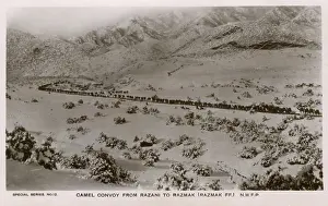 Pakistani: NWFP - A camel convoy (train) from Razani to Razmak