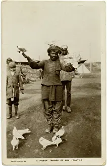 Pakistani: NWFP - A carrier pigeon Trainer