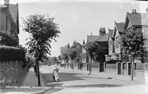 Hedges: Nyewood Lane in West Bognor