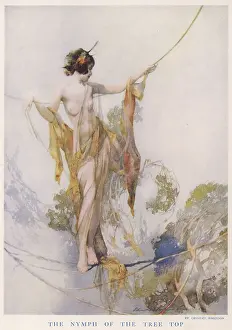 Dryad: The Nymph of the Tree Top