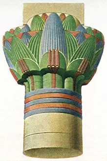 Edfu: Nymphaea Lotus Capital