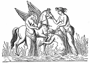 Attending: Nymphs attending the winged horse, Pegasus which