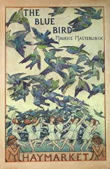 Nymphs: Nymphs and Bluebirds