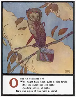 Limerick: O was an obstinate owl