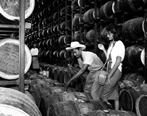 Casks: Oak casks of Jamaican Rum. ca 1960s..?