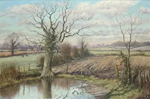 Mervyn: The Oak by the Pond
