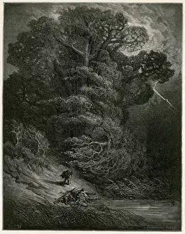 Felled: THE OAK AND THE REED