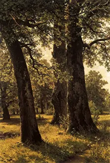 Oaks: The Oaks