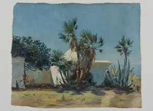 Algerian: The Oasis