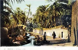 Neath: OASIS AS BISKRA