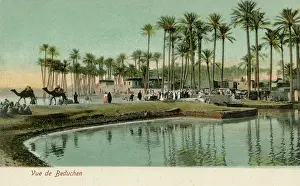 Pharcide: Oasis in Egypt
