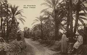 Oases: In the Oasis. Ghardaia, Algeria