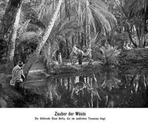 Oases: Oasis Nefta, 1906
