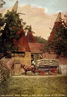 Hops: OAST HOUSES 1908