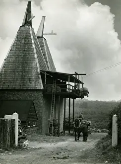 Oast: OAST HOUSES AND KILN
