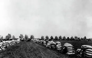 Cereals: Oat reserves storage on a field, 1916