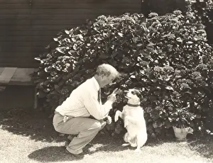 Intelligent: Obedience class