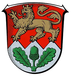 Acorns: Obertshaussen, Coat of arms