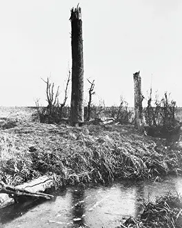 Messines: Observation Post