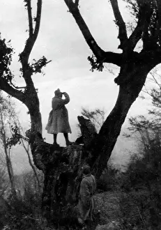 Spyglass: Observation post in Serbia, 1915