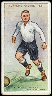 Callaghan: O'Callaghan - Tottenham Hs