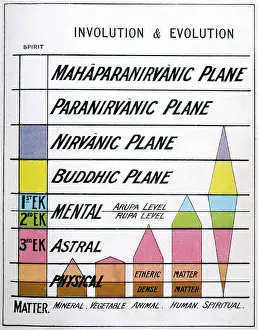 Theosophical: Occult concepts: Theosophical involution and evolution