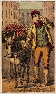 Costermonger: Occupation - Costermonger