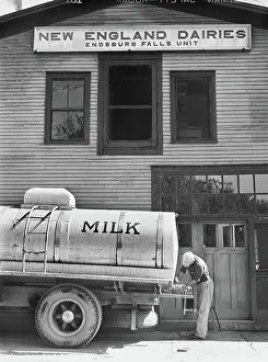 Dairies: Occupations - Dairy - Food And Drink