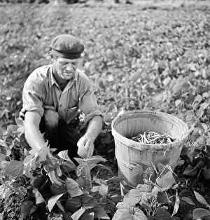 Photographyghiv: Occupations - Farmer - Agriculture