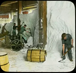 Zash: Occupations - Salt - Labor - Workers - USA