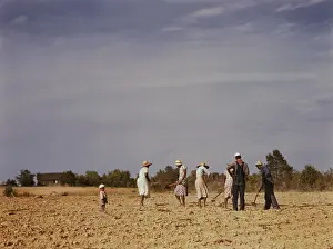 Hoes: Occupations - sharecroppers - agriculture - cotton