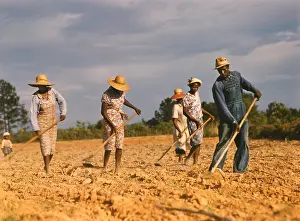 Hoes: Occupations - sharecroppers - agriculture - cotton