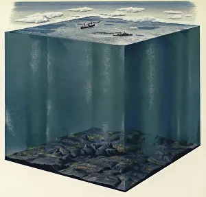 Warlike: Ocean Cube