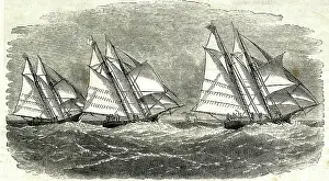 Yachts: Ocean race between the Henrietta, Fleetwing and Vesta