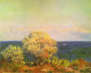 Vast: Ocean View, by Monet