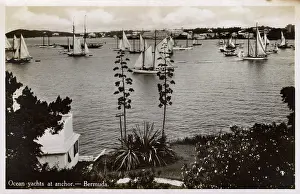 Bermudan: Ocean Yachts at anchor - Bermuda