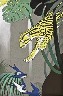 Leaping: Ocelot chasing birds