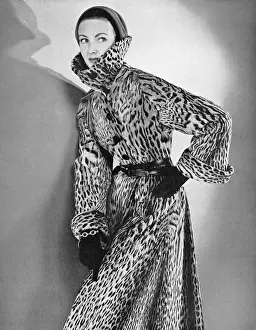 Ocelot: Ocelot coat, 1953