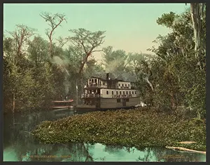 C1902: On the Ocklawaha, Florida
